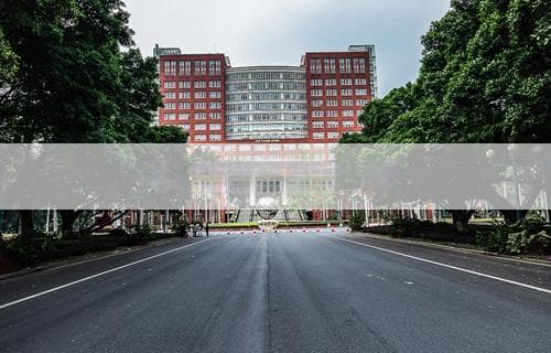 如何快速缓解鼻塞：实用方法与技巧