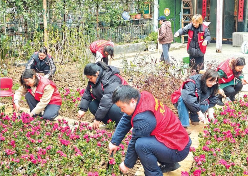 认养一棵树木 打造友邻花园 居民携手为社区添绿增彩