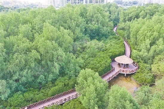 广东打造“海上新广东”：科技创新与生态保护双轮驱动