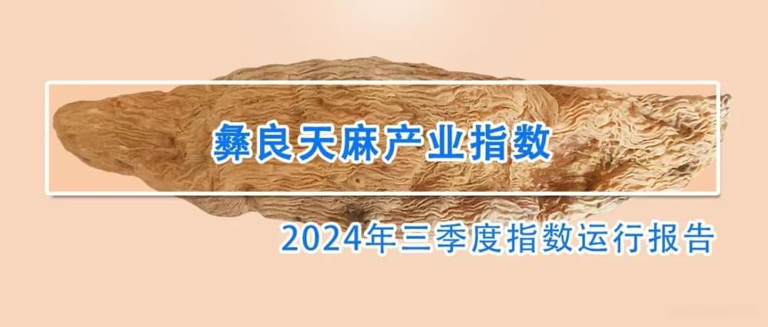 政策调控叠加季节因素，彝良天麻价格现低位运行