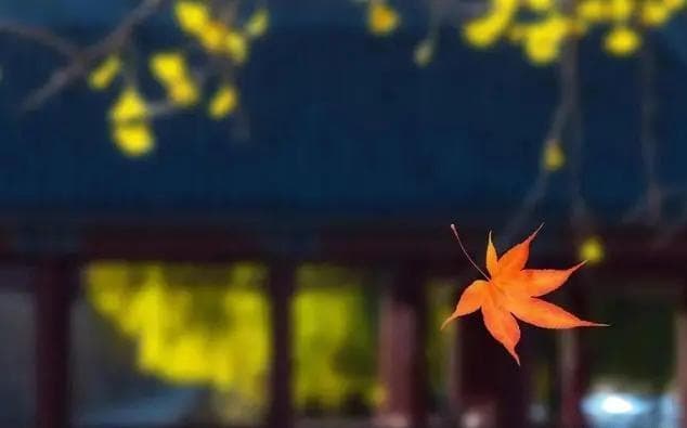 古诗中的秋意：韵味与情思