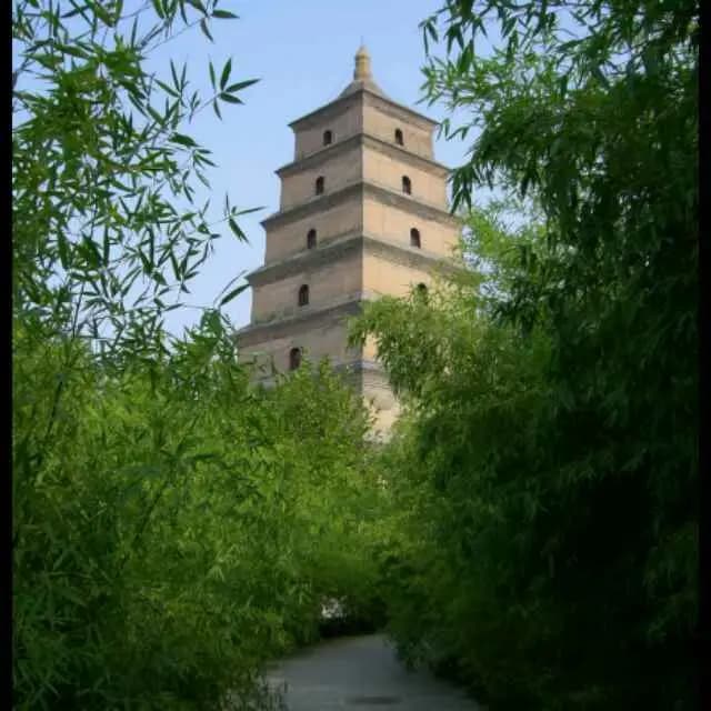 品读岑参《洛阳春》札记