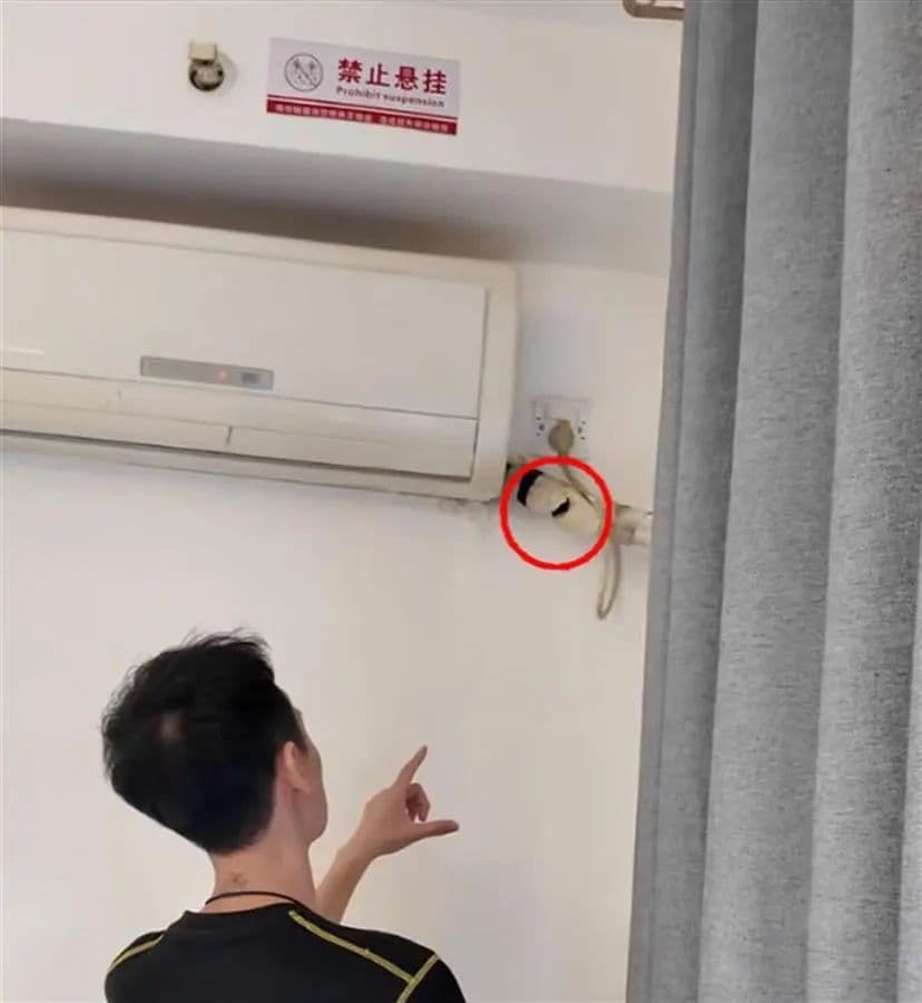 河北石家庄：博主民宿发现摄像头后遭多人围殴？警方深夜通报