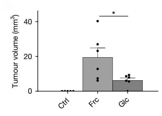 Nature揭秘高果糖“喂养”癌细胞机制，癌细胞不直接吃果糖，竟靠肝脏“中转”