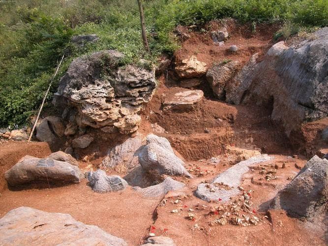 华龙洞遗址发现30万年前古人类，证实东亚人本地起源