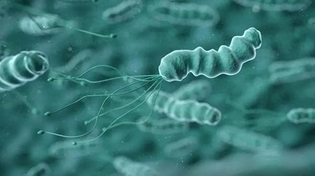 初次感染“幽门螺杆菌”，该如何用药？