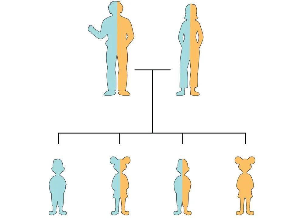 你为什么比其他人更容易焦虑？看原生家庭之“过”