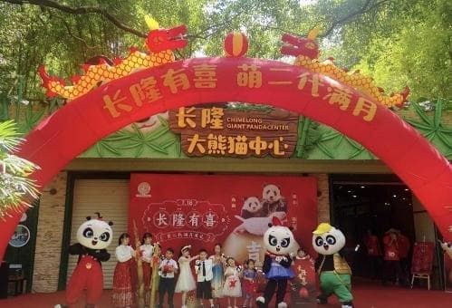 满月宴、派红鸡蛋……“老广”大熊猫满月仪式感满满