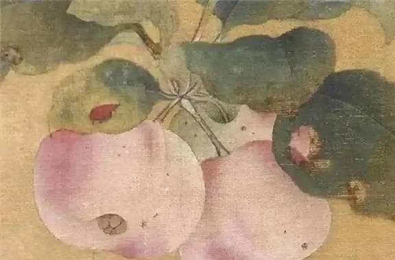 苹果本不叫“苹果”，古人取了个很唯美的名字，被日本人沿用至今