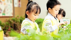 幼儿园萌娃的“无废”生活