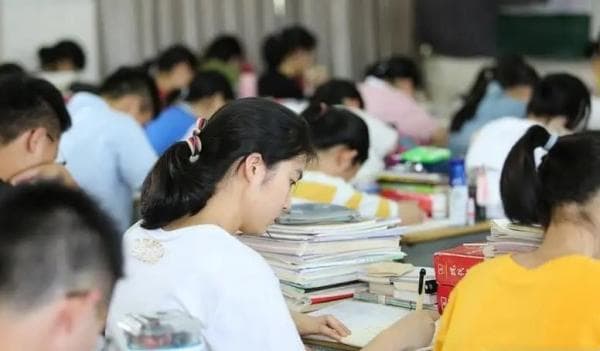 高考录取状态释疑：从投档到预录全解析