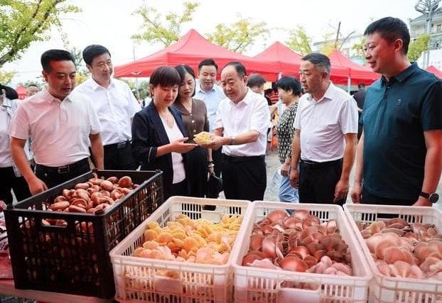如何根据植物的生长阶段选择合适的补光灯光谱？