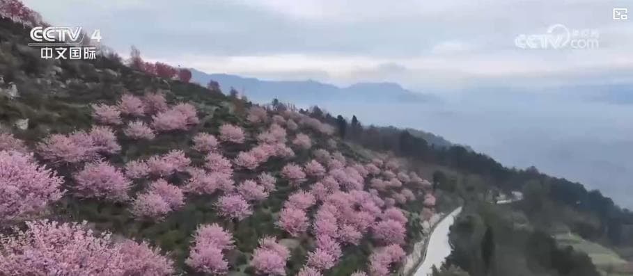 踏青赏花享春光 “春日经济”活力旺
