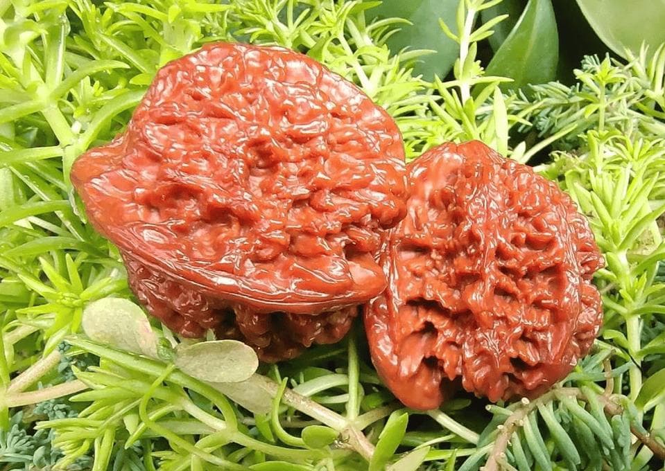 最适合盘玩的6种文玩核桃，您手中有哪几种？