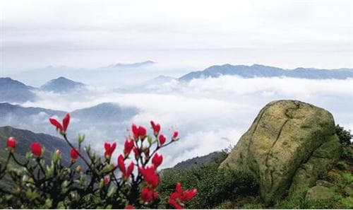 玉华山：江西丰城的道教名山与自然奇观