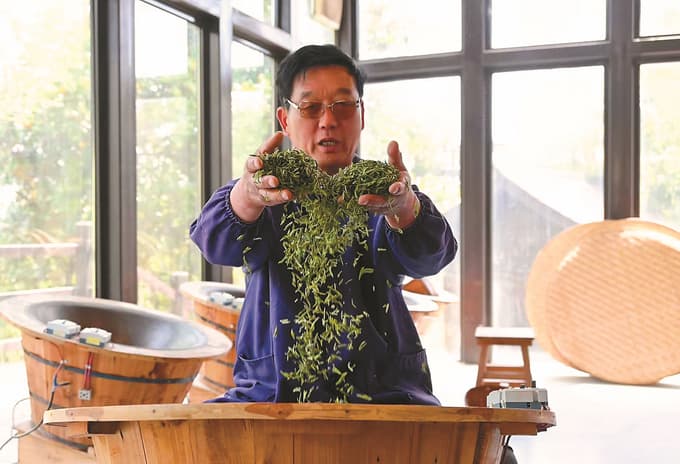 江苏多地春茶开采 接轨文旅延长产业链