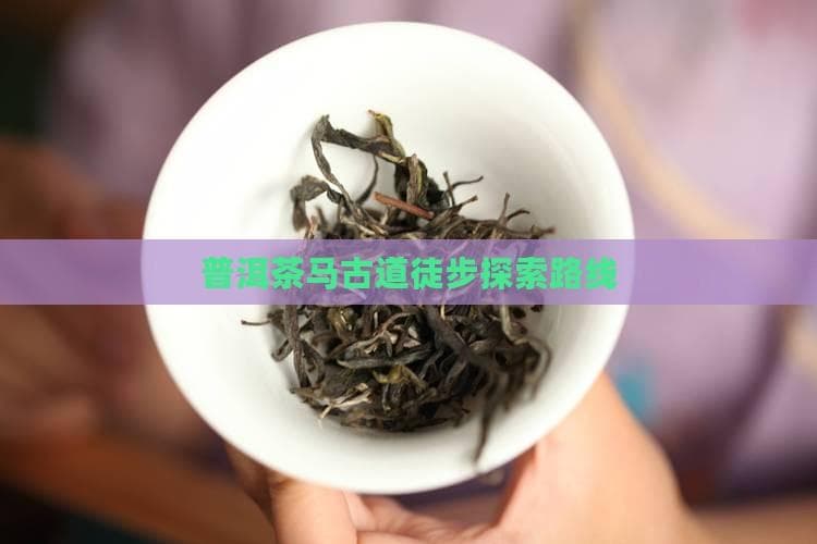普洱茶马古道徒步探索路线