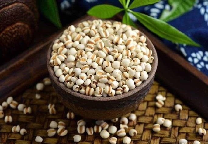 薏苡仁：常用中药的性状、功效与临床应用