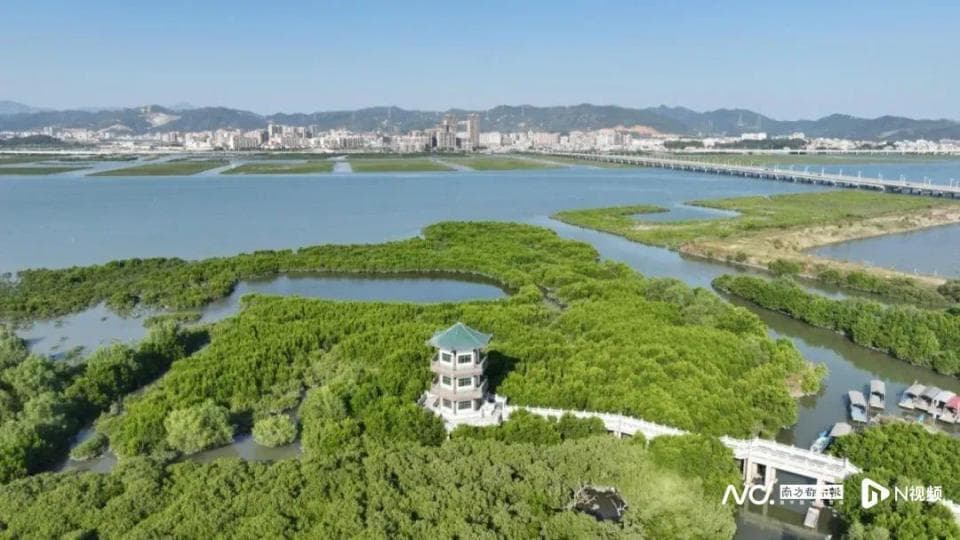 惠东：海洋生态保护修复案例成功入选全国十大案例榜单