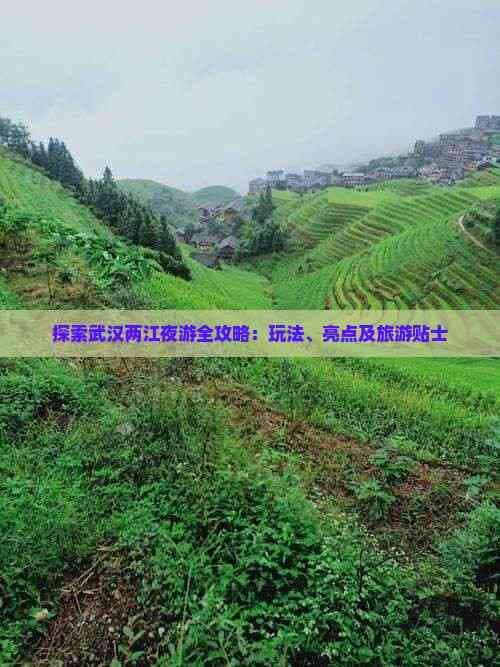 武汉两江夜游全攻略：精华景点、玩法推荐及实用贴士