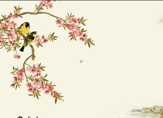 如何判断自己的八字喜好与忌讳的颜色 如何解读八字喜好
