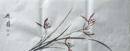 梅兰竹菊的象征意义及文化传承（传统中国四君子花的丰富内涵与美学价值）