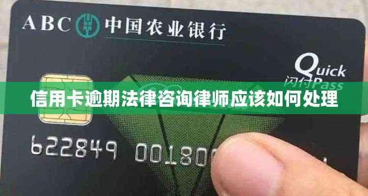 信用卡逾期法律咨询：律师应该如何处理