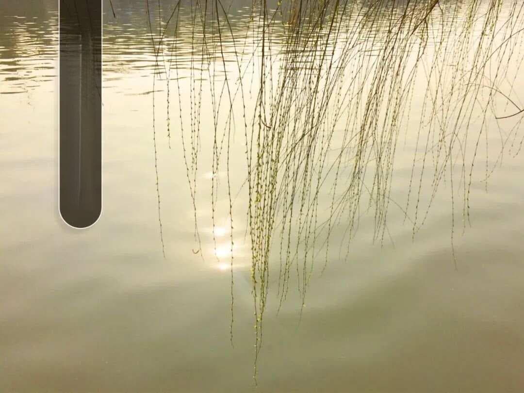 曾巩《咏柳》赏析：借柳讽喻，寓意深远