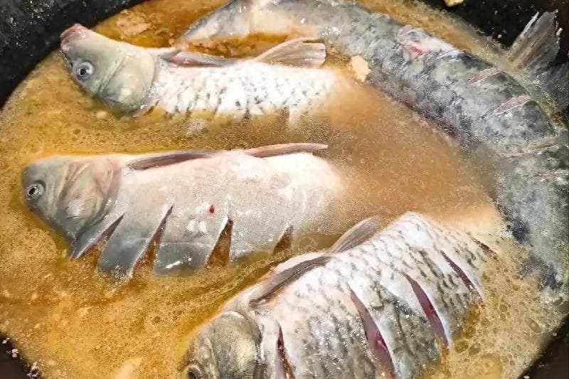 心梗和吃鱼的关系被发现？医生：心脏不好的人，饮食要注意这点