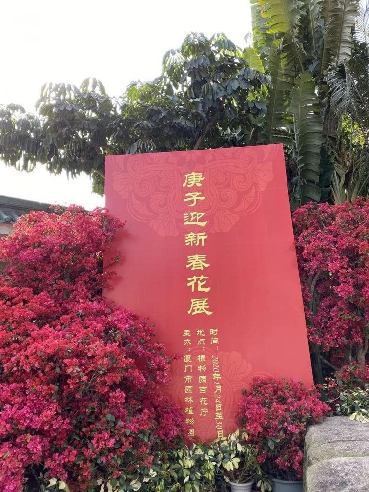 厦门园林植物园春节赏花指南（花海+花展）