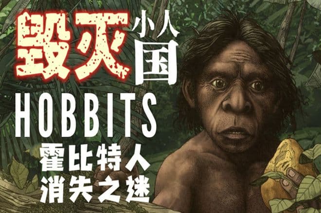 太平洋的蔚蓝深处，消失的“小人国”真相：毁于人类之手