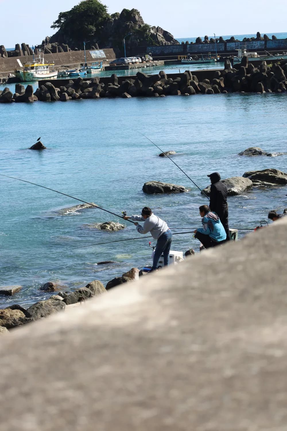 从休闲到专业：阳江海钓基地打造一站式海钓体验