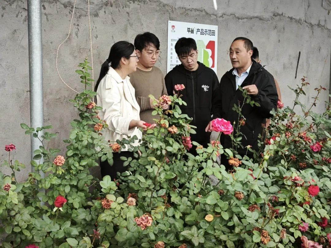 青科大学子将科创项目带回家乡，赋能乡村振兴