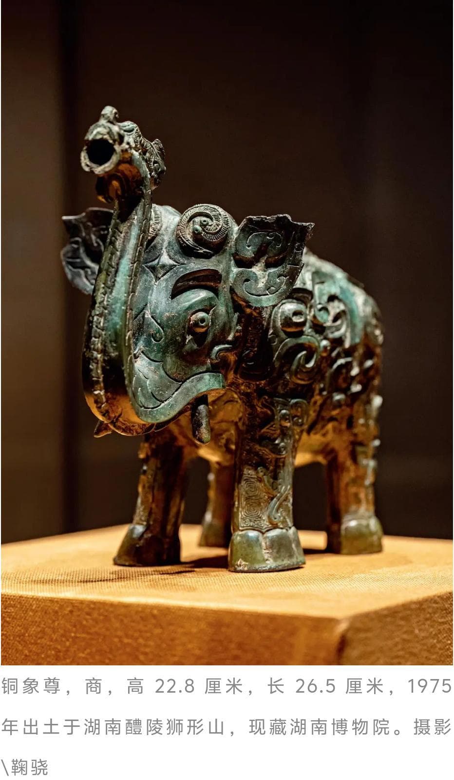 河南简称“豫”，是因为有大象？