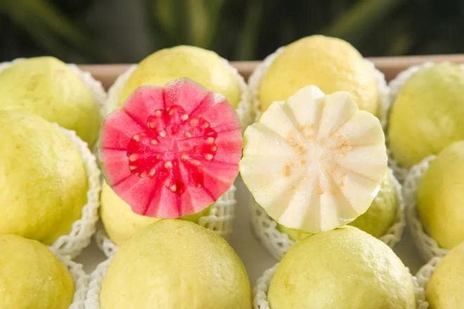 给孩子吃芭乐：营养价值、安全食用全攻略