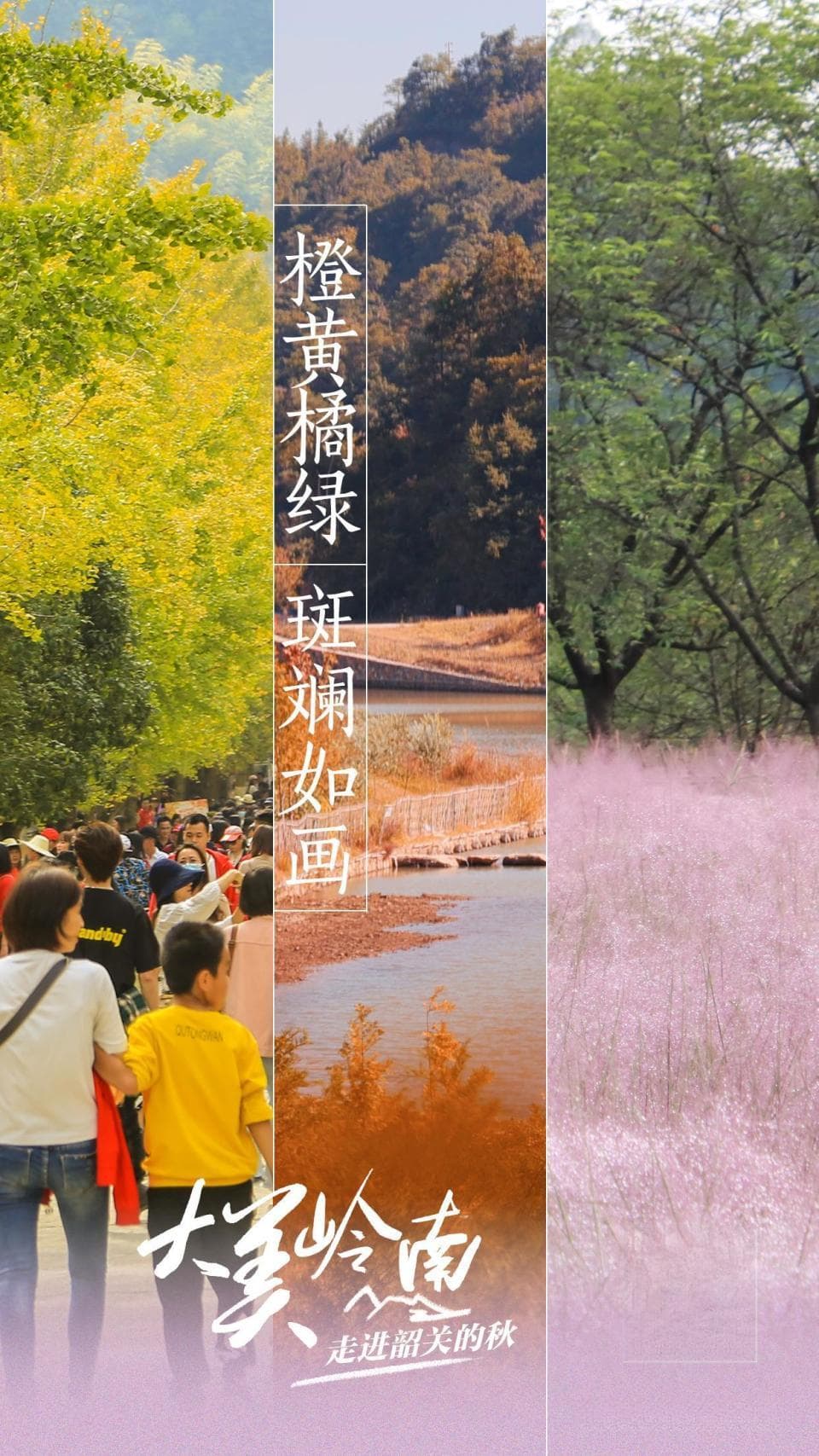 视频·大美岭南 | 韶关秋色：橙黄橘绿 斑斓如画