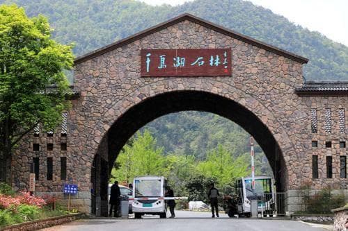 浙江千岛湖石林：数亿年雕琢的喀斯特奇观