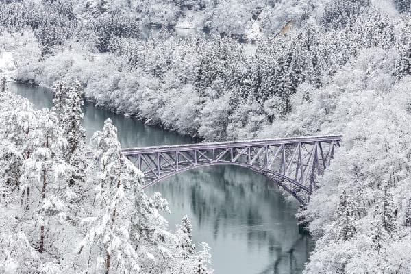 雪梨和皇冠梨、砀山梨的区别