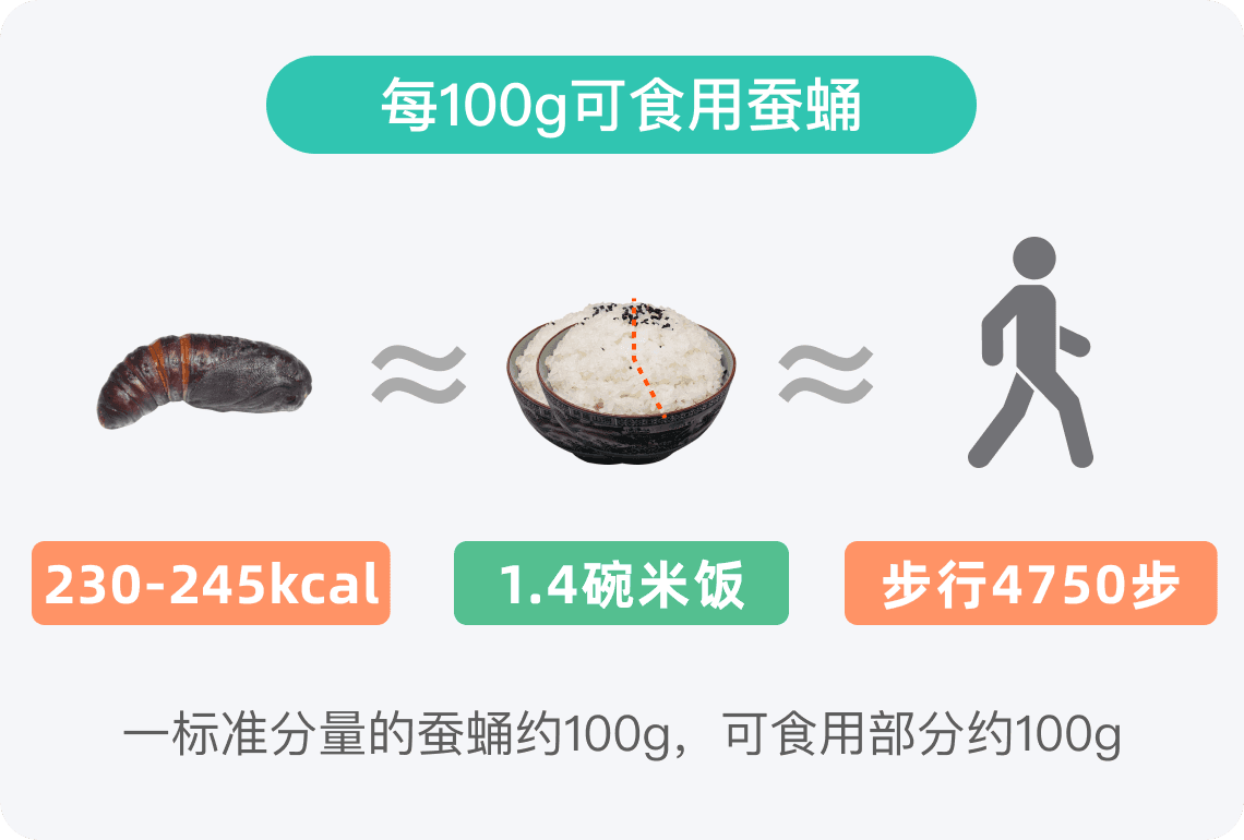 蚕蛹的热量：高蛋白昆虫食材的营养与食用指南