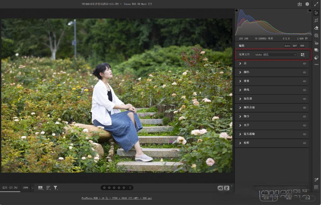 Camera Raw配置文件功能详解：从入门到精通