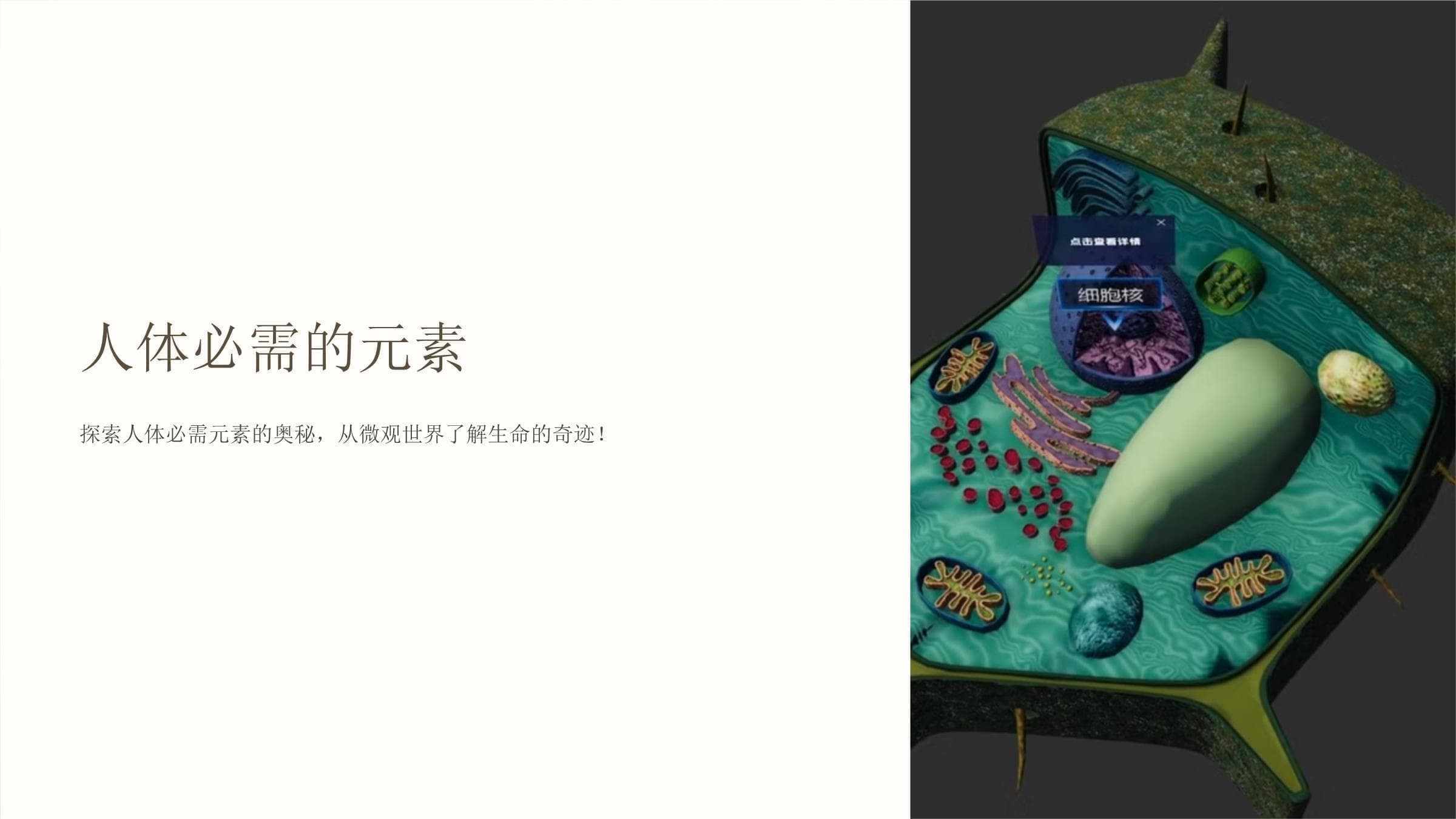 人体必需的元素：从微观世界了解生命的奇迹