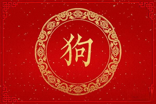 属狗的年份哪个最好：从1934到2030的生肖狗命运全解析