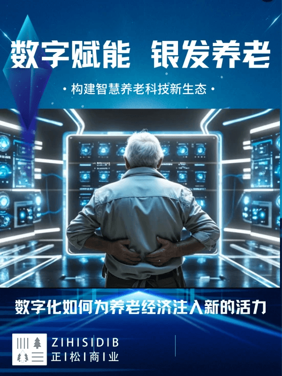 智慧养老，数字先行：银发经济与数字化融合的新路径