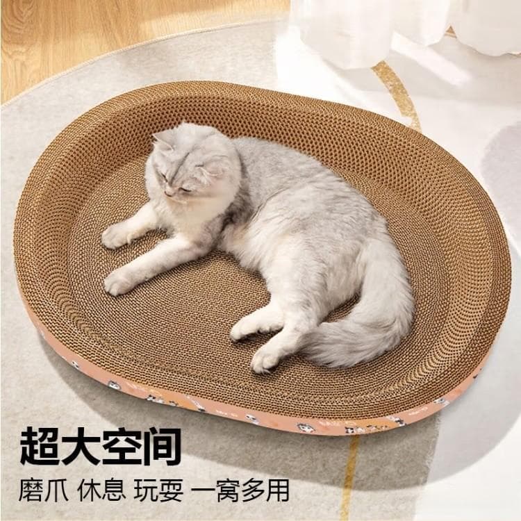 猫咪磨爪必备神器！猫抓板选购指南