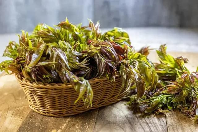 春天野菜上市，这些食材需要焯水处理