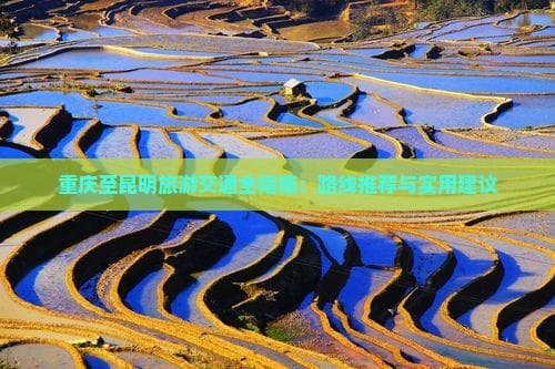 重庆至昆明旅游交通全指南：路线推荐与实用建议