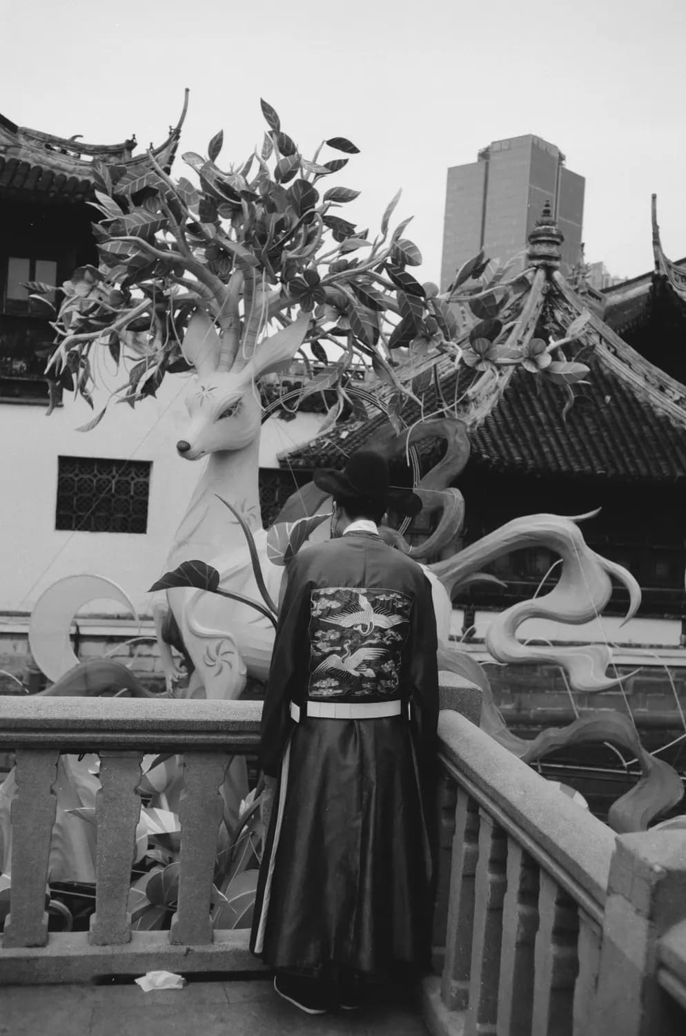于朦胧版许仙：传统经典与现代审美的完美融合