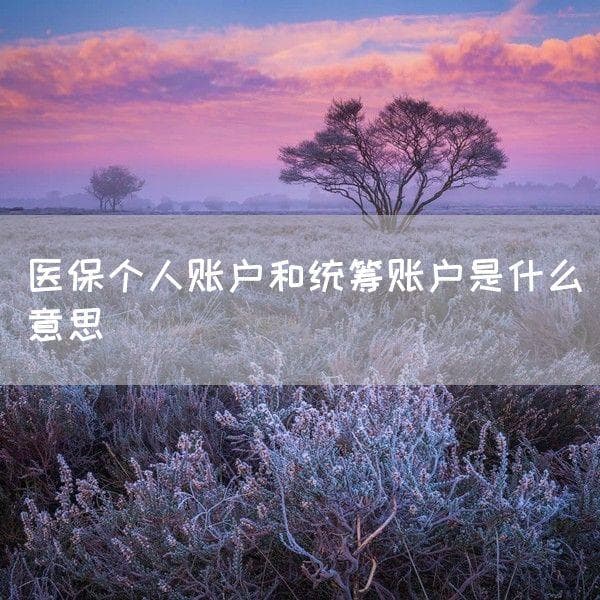 医保个人账户和统筹账户是什么意思