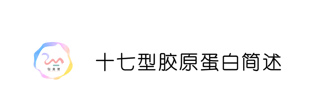 成份认知之「十七型胶原蛋白」