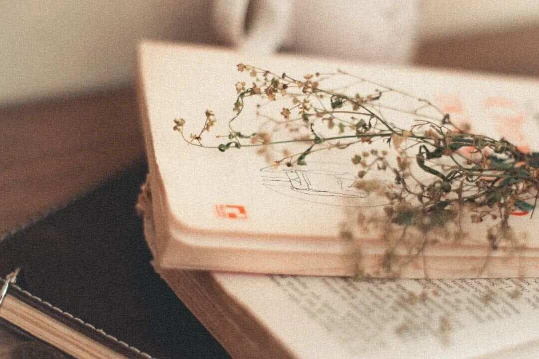 常见修辞手法的运用及表达效果（附练习和答案）